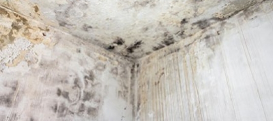 Cómo se pueden arreglar las humedades de tu casa