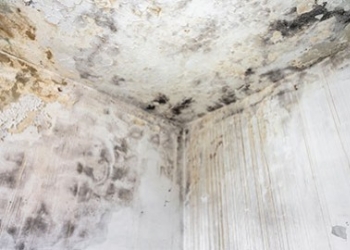 Cómo se pueden arreglar las humedades de tu casa